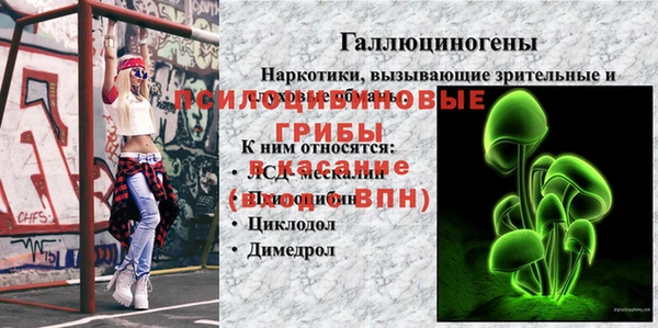 Альфа ПВП Верея