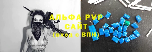 Альфа ПВП Верея