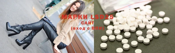 Альфа ПВП Верея