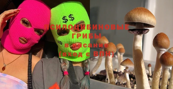 Альфа ПВП Верея