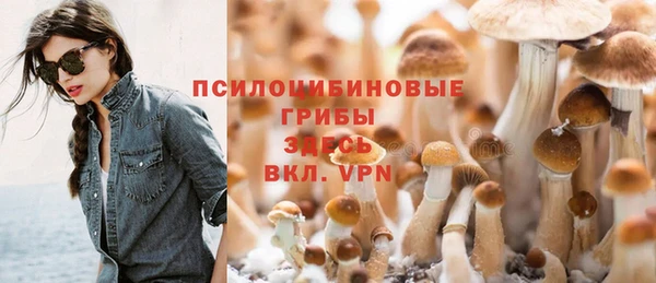 ПСИЛОЦИБИНОВЫЕ ГРИБЫ Бронницы