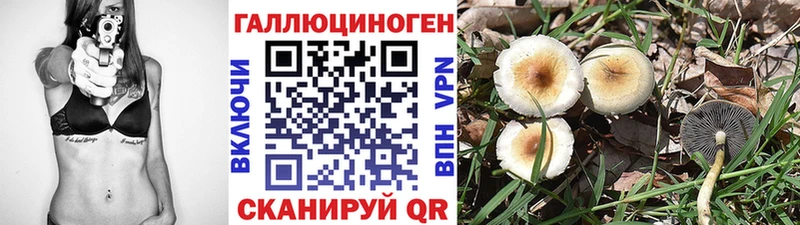 Купить закладки  Карталы  Псилоцибиновые грибы Psilocybine cubensis 